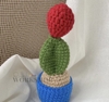 FLOWER POTS CACTUS 10