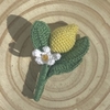BROOCHES LEMON