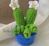FLOWER POTS CACTUS 9