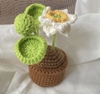 FLOWER POTS LOTUS POT