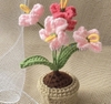 FLOWER POTS 2 - 5 FLOWERS FORGET ME NOT-purple