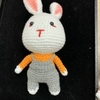 BIG ANIMALS FARMER RABBIT-red blue