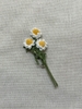 BROOCHES DAISY