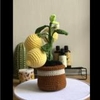 FLOWER POTS 6 LEMON FLOWER POT