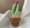 FLOWER POTS CACTUS 11