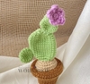 FLOWER POTS CACTUS 12