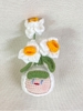 FRUIT GIRLS PIG WITH RED FLOWER