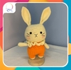 WOODLAND - BROWN RABBIT WITH CLOTHES PINK