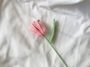 FLOWER BRANCHES 2 - BIG PETAL TULIP-pink