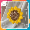 COASTERS DELICATE SUNFLOWER