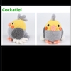BIRDS COCKATIEL