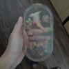 Resin khay