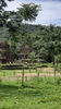 my son sanctuary