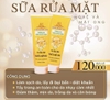 sua-rua-mat-nghe-mat-ong