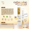 combo-face-ngay-va-dem-dong-trung-ha-thao-2025