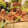 TƯỢNG TỨ KHÔNG CỠ TRUNG