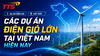 Các dự án điện gió lớn tại Việt Nam hiện nay
