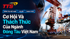 Cơ Hội Và Thách Thức Của Ngành Đóng Tàu Việt Nam