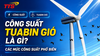 Công suất tuabin gió là gì? Các mức công suất phổ biến