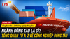 Ngành đóng tàu là gì? Tổng quan A-Z về công nghiệp đóng tàu