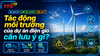 Tác động môi trường của dự án điện gió cần lưu ý gì?