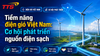 Tiềm năng điện gió Việt Nam: Cơ hội phát triển nguồn điện sạch