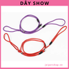 day-da-t-show-cho-cho-day-ky-lua-t-freeize-cho-cho-va-me-o-nho-vu-a