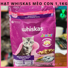 ha-t-cho-me-o-con-whiskas-1-1kg