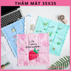 dem-mat-tham-mat-tham-gel-mua-he-chong-soc-nhiet-cho-meo