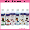 sua-tam-sentee