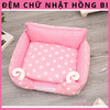 dem-cao-cap-chu-nhat-ho-a-tie-t-dem-cho-cho-meo-thu-cung-o-cho-cho-meo