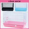 long-sat-sieu-to-60-33-38-long-sat-nuoi-hamster-soc-nhim-canh