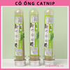 co-ong-catnip-cho-meo