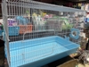 long-sat-sieu-to-60-33-38-long-sat-nuoi-hamster-soc-nhim-canh
