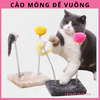 cao-mong-gan-lo-xo-de-vuong