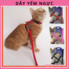 bo-yem-nguc-1cm-cho-cho-meo