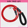 day-lo-xo-tro-luc-danh-cho-cho