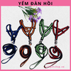 day-yem-dan-hoi-danh-cho-cho-meo