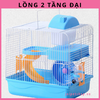 long-hamster-2-tang-dai