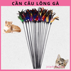 can-cau-long-ga-dep-cho-meo