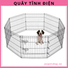 quay-tinh-dien-danh-cho-cho-meo