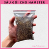 sau-tui-cho-hamster