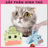 gap-phan-hinh-thu