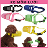 het-hang-ro-mom-luoi-cho-cho