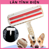 lan-long-cho-meo-tinh-dien