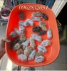 chuo-t-hamster-winter-white-chi-tu-60kkk-chi-giao-ha-no-i-ww-pet-joi