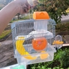 long-hamster-hoa-ng-tu-2-ta-ng-cho-hamster