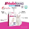 ha-t-me-o-nabirang-da-nh-cho-me-o-mo-i-lu-a-tuo-i-1kg-5kg