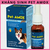 pet-amox-plus-3g-giam-tieu-chay-ho-hap-cho-cho-meo