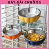 bat-don-gai-chuong-to-cho-cho-meo